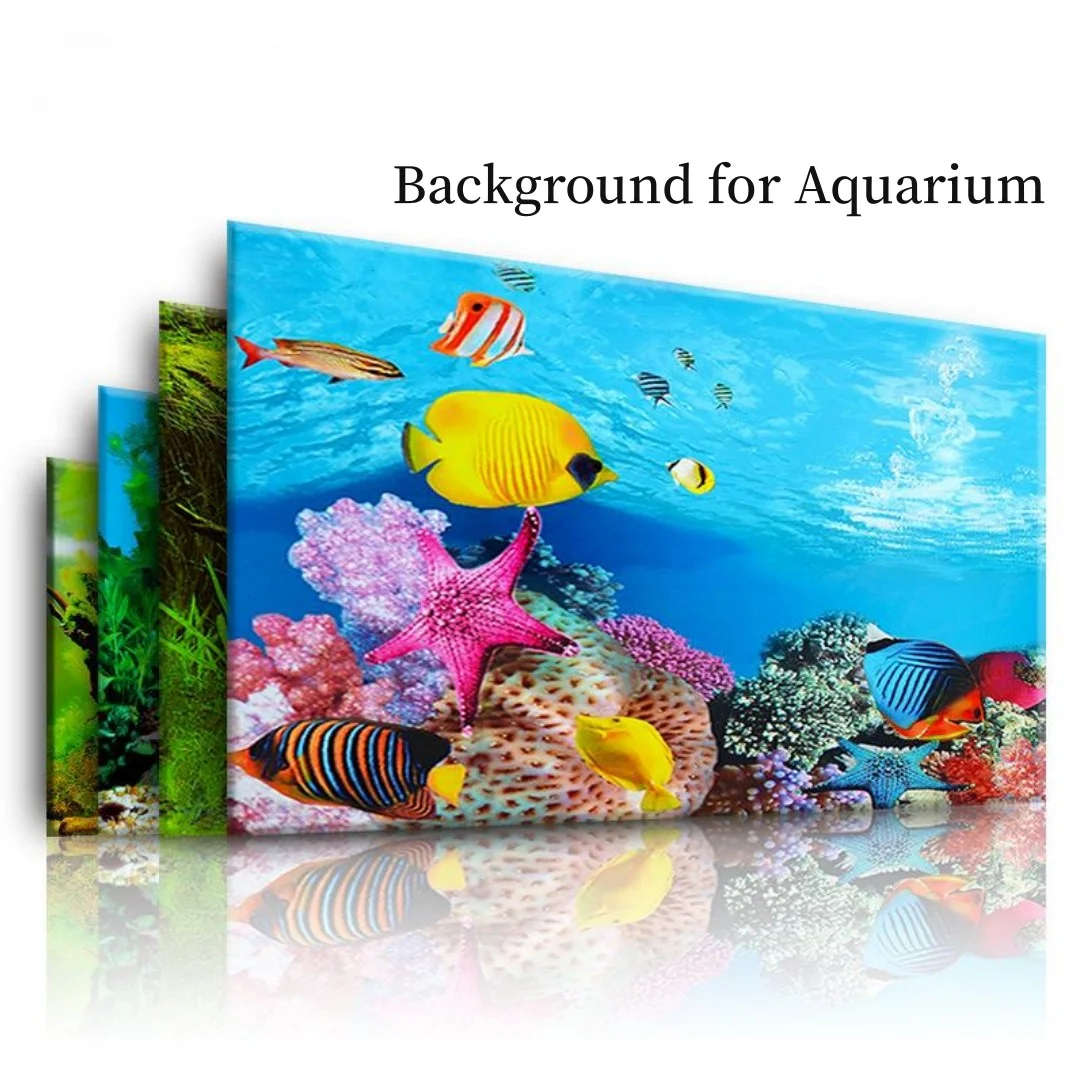 Marine Aquarium Aquascape - Tło Akwarium 3D Naklejka Plakat Dekoracja