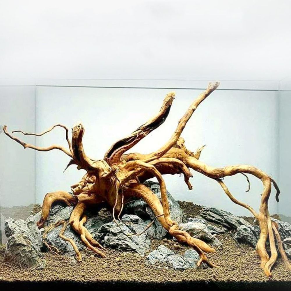 Marine Aquarium Aquascape - Naturalne drzewo pnia dekoracja akwarium drewniane