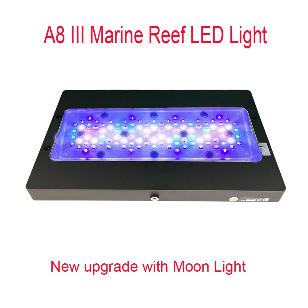 Aquarium Marine Fishes - A8 III Moon Light - Mocne