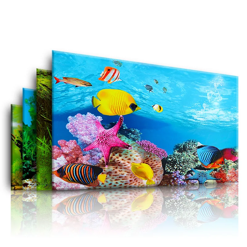 Tło do akwarium 3d naklejka pl – Marine Aquarium Aquascape recenzja i cena