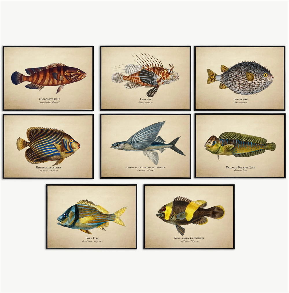 Zdjęcia w stylu vintage, ryby  – Marine Life Aquariums recenzja i cena