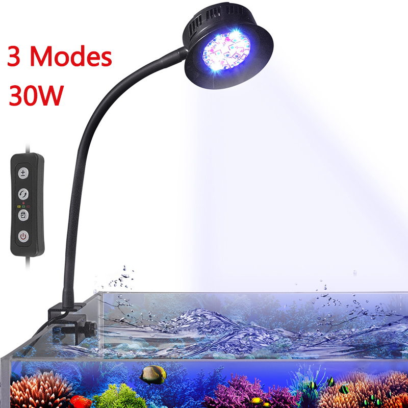 Lampa LED do akwarium rafowego – Aquarium Marine Fishes recenzja i cena