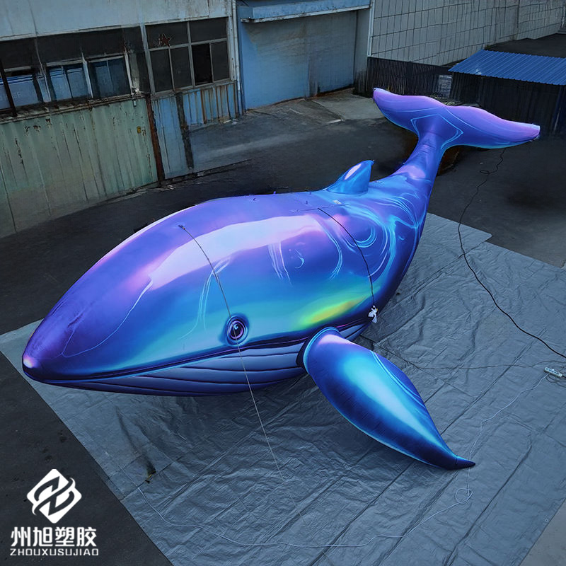 Nadmuchiwana niebieska wielory – Marine Life Aquariums recenzja i cena
