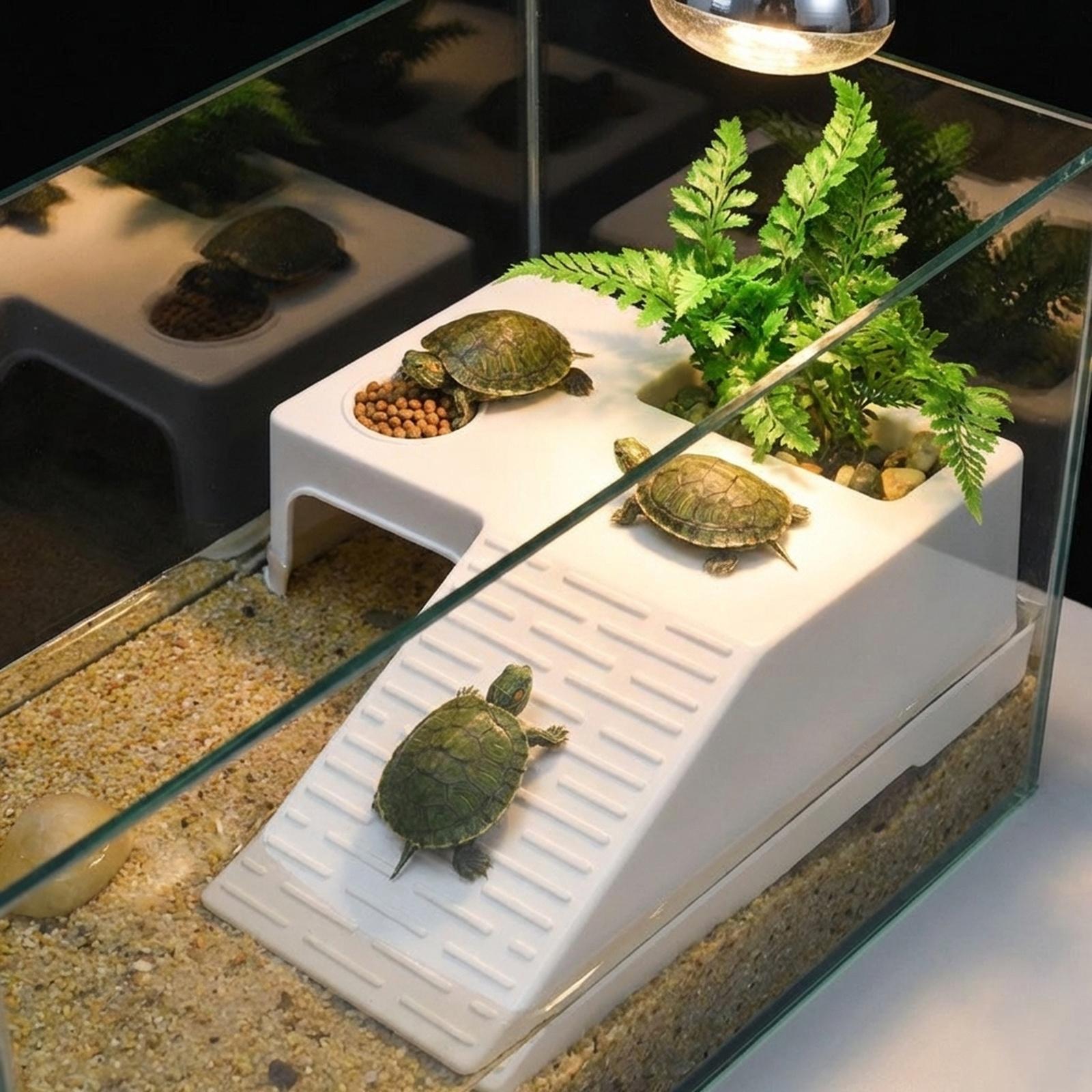 Platforma do wylegiwania się d – Marine Aquarium Aquascape recenzja i cena