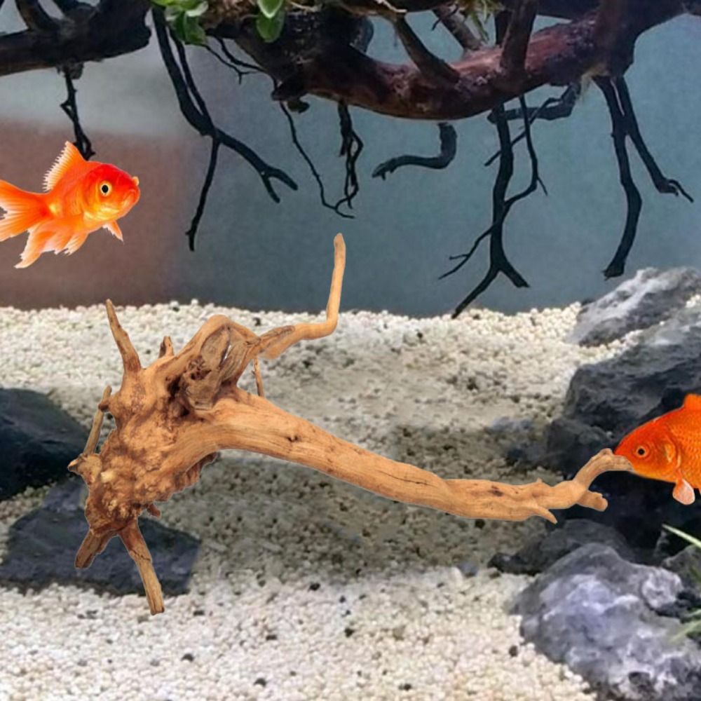 Naturalne drzewo pnia dekoracj – Marine Aquarium Aquascape recenzja i cena