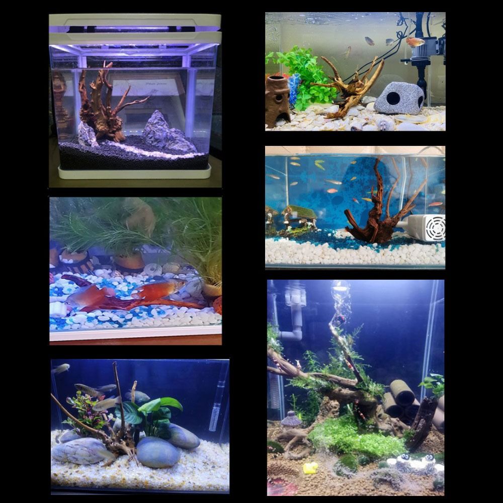Naturalne drzewo pnia dekoracj – Marine Aquarium Aquascape recenzja i cena