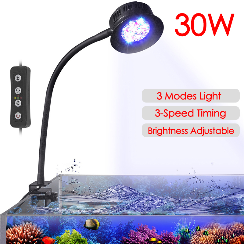 30W akwarium akwarium woda mor – Aquarium Marine Fishes recenzja i cena